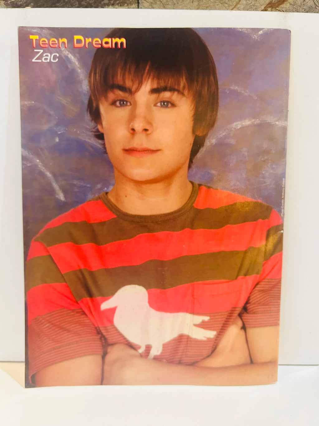 Zac Efron – Teen Dream Pin-Up (Side B)