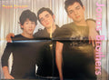 Jonas Brothers – Teen Dream Centerfold Poster (Side A)