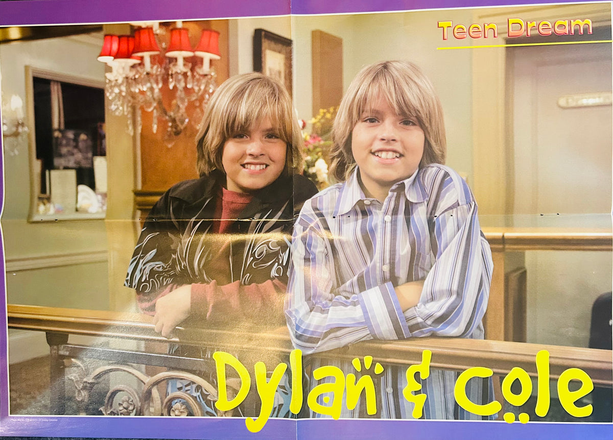 Dylan & Cole Sprouse Suite Life Hotel Lobby – Teen Dream Poster (Side B)