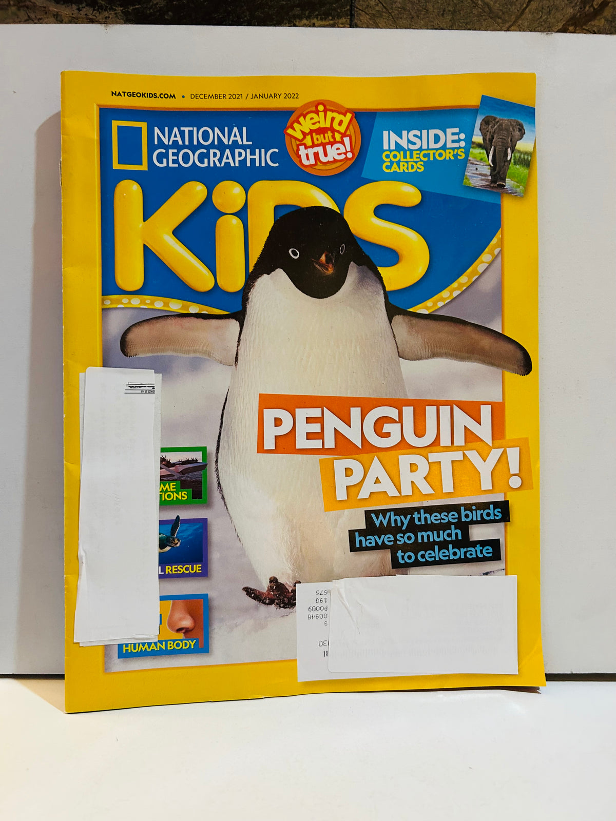 National Geographic Kids magazine December 2021 January 2022 issue featuring Penguin Party cover story with Adelie penguin, Weird But True section, and Inside Collector's Cards callout, mailing label covered