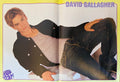 David Gallagher – Pop Star! Magazine Poster