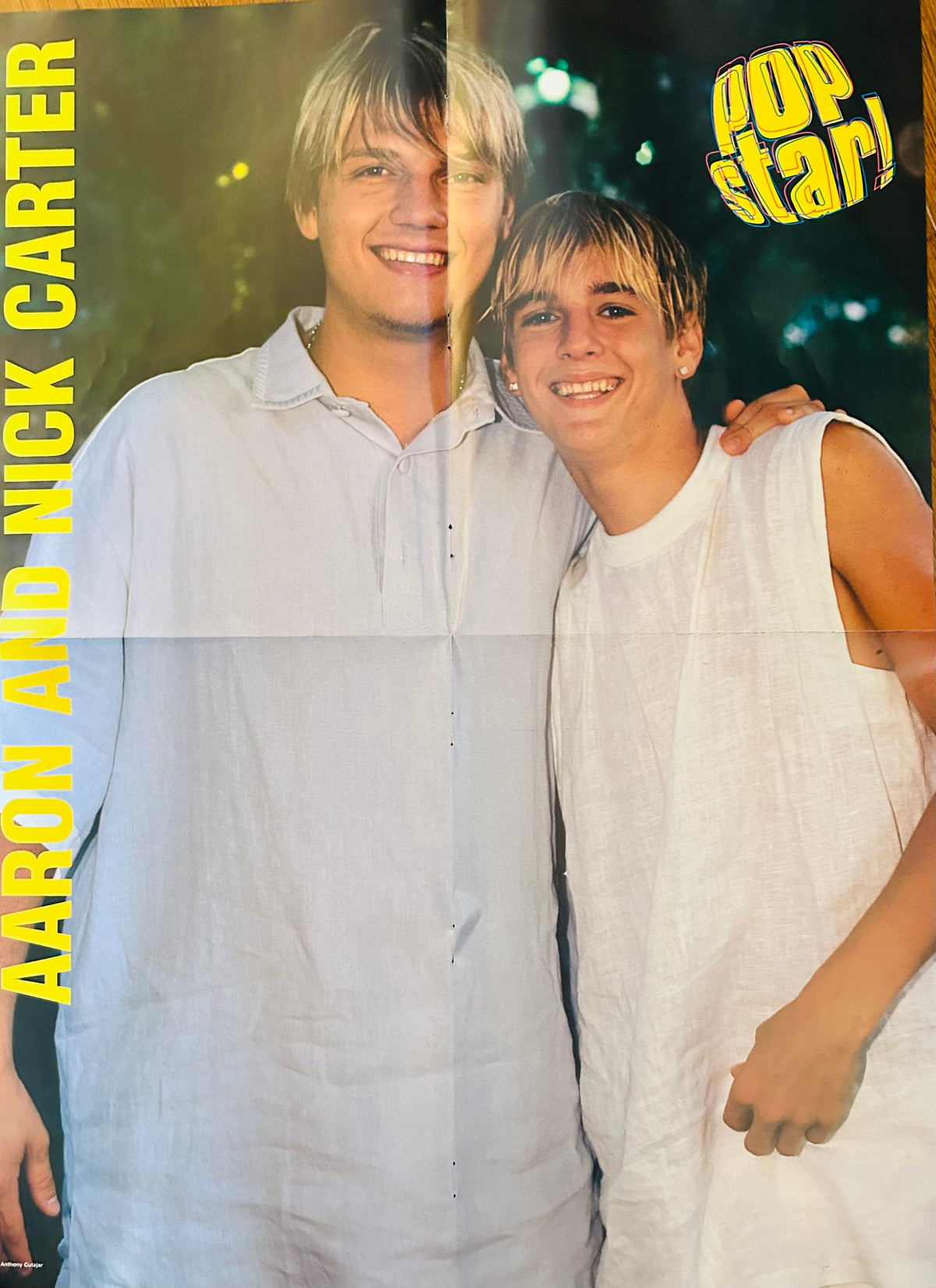 Aaron & Nick Carter – Pop Star! Magazine Poster
