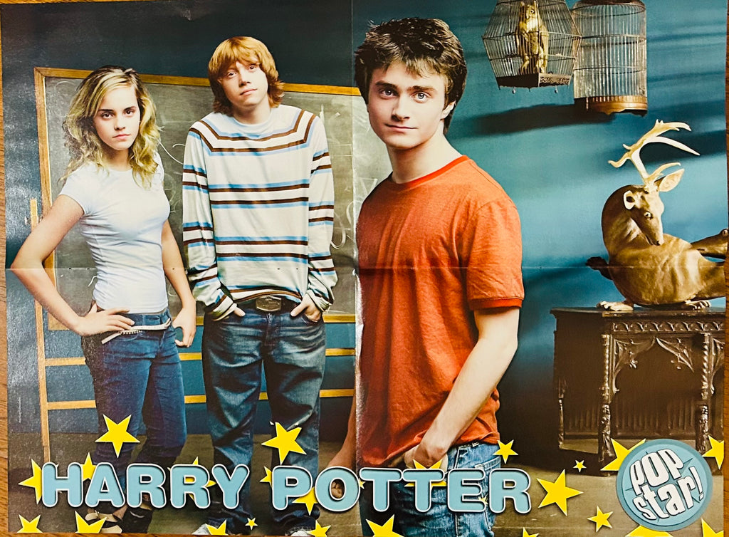 Harry Potter Pop Star! Magazine Poster - front side