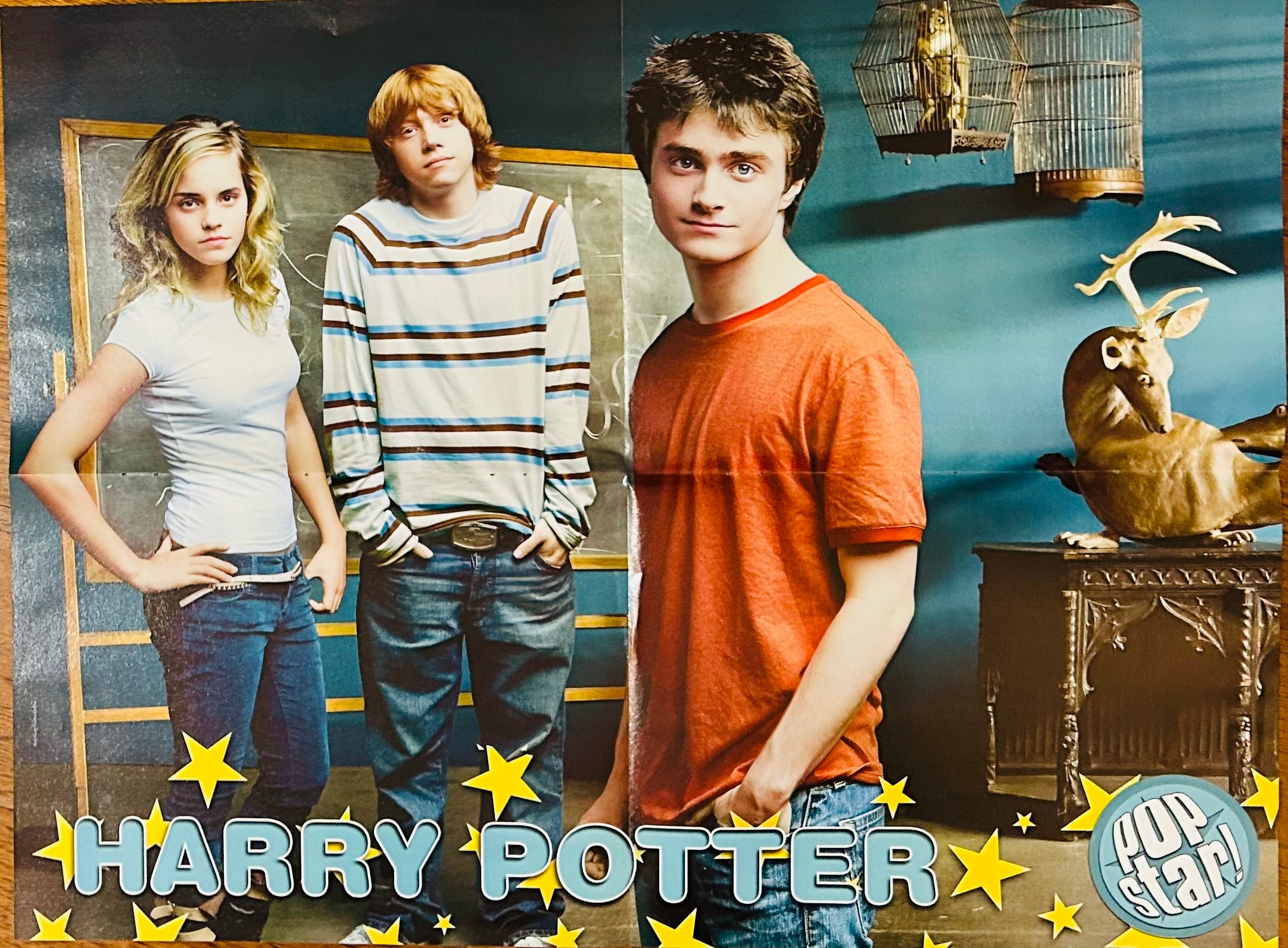 Harry Potter Pop Star! Magazine Poster - front side