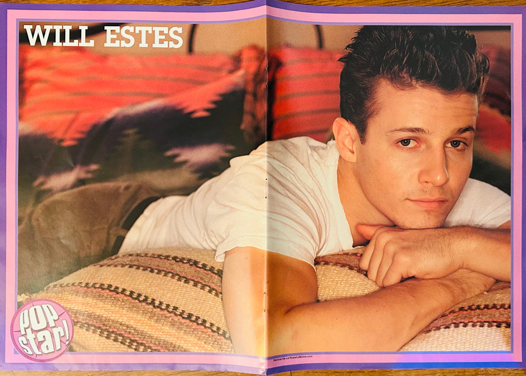 Simple Plan side of double-sided Pop Star poster