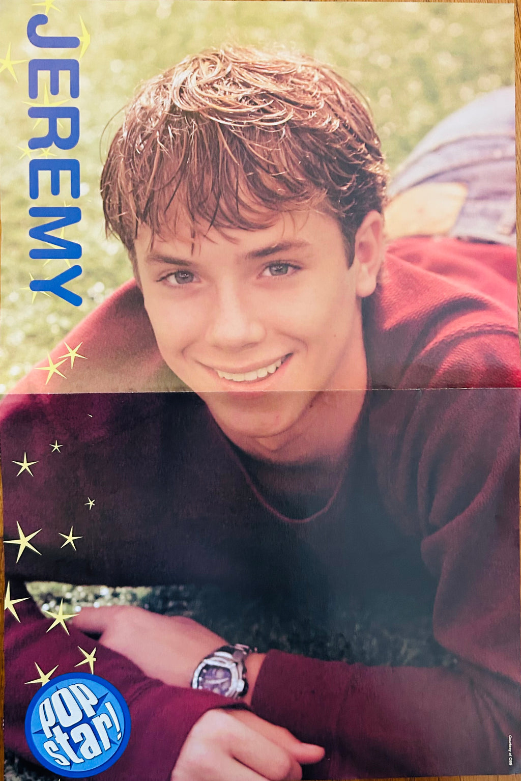 Simple Plan full-band Popstar poster side