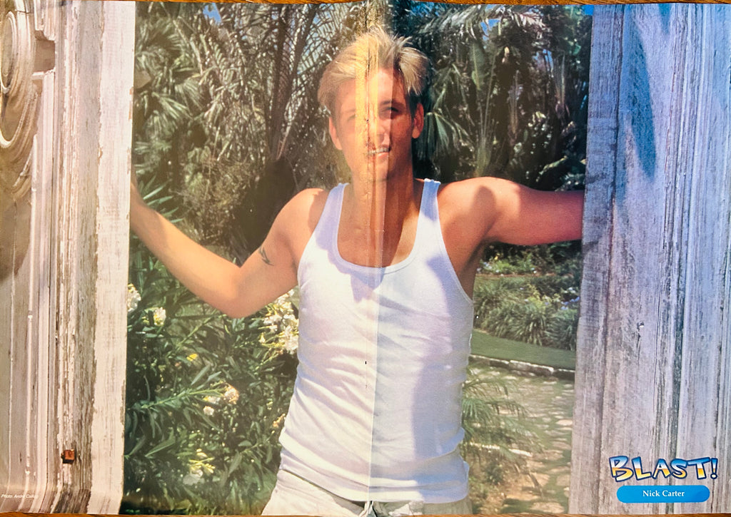 Freddie Prinze Jr and Nick Carter Poster 10x16 (2000)