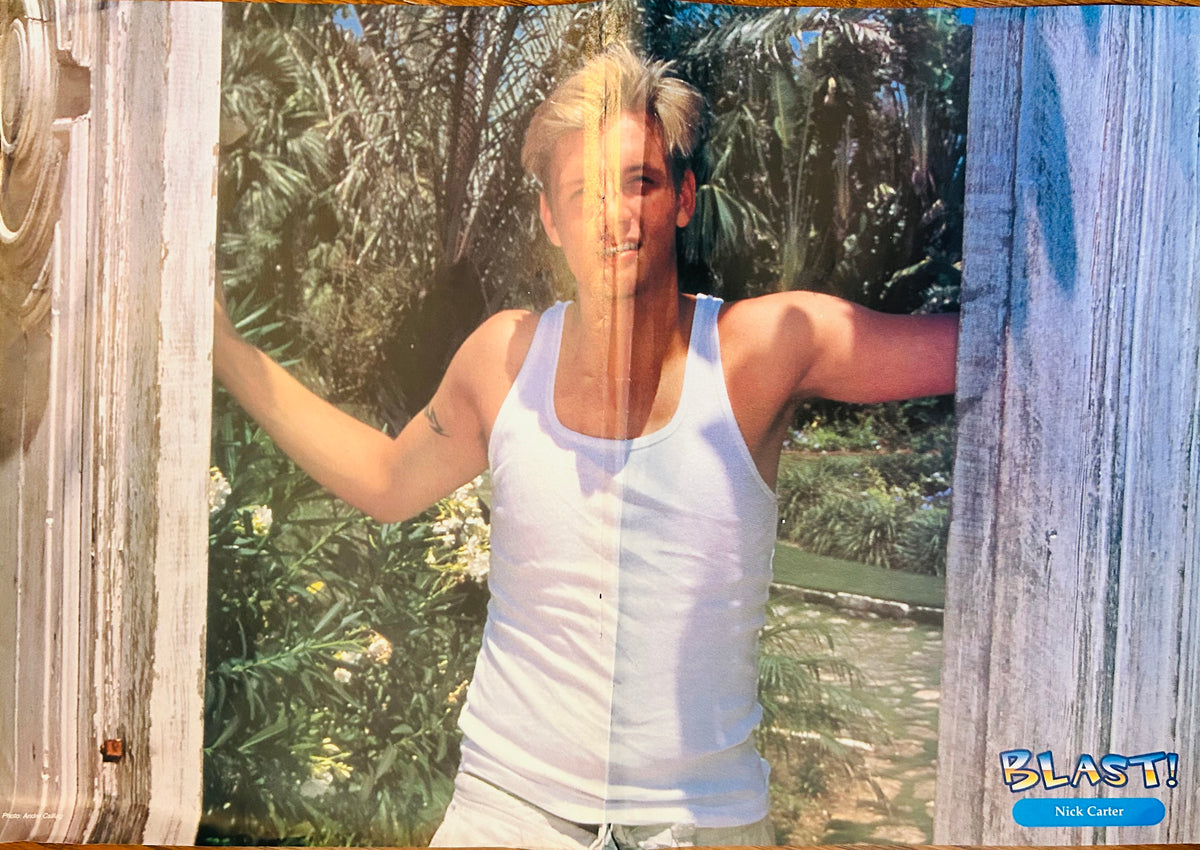 Freddie Prinze Jr and Nick Carter Poster 10x16 (2000)