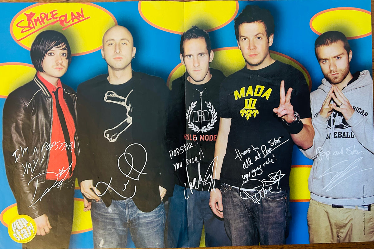 Jesse McCartney and Simple Plan Poster 10x16 (2005)