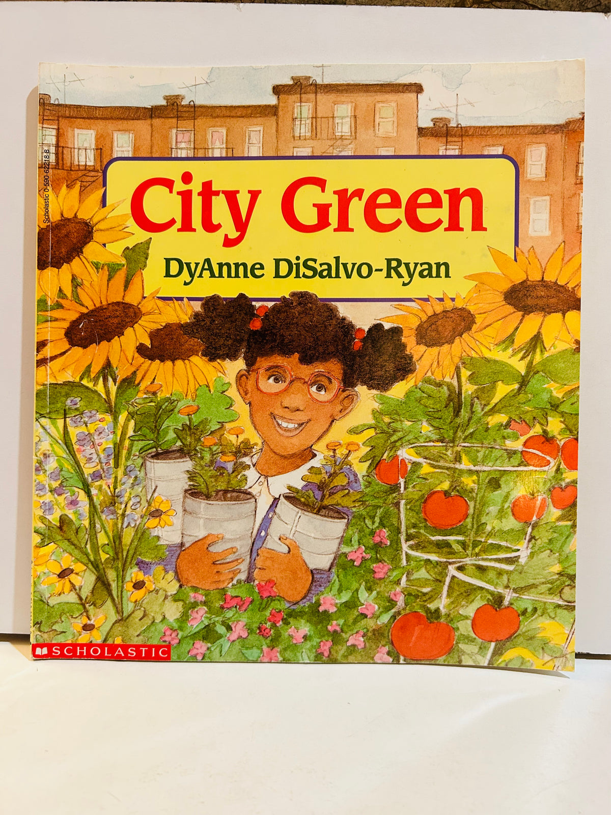 City Green by DyAnne DiSalvo-Ryan Scholastic 1994 paperback cover