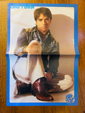 Luis Fonsi side of double-sided Pop Star poster