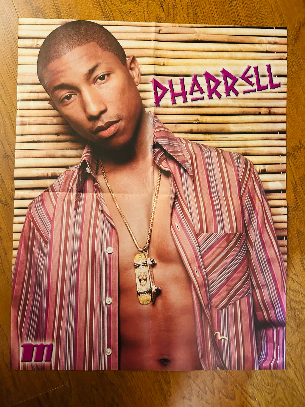 Pharrell poster side with striped shirt and bamboo background
