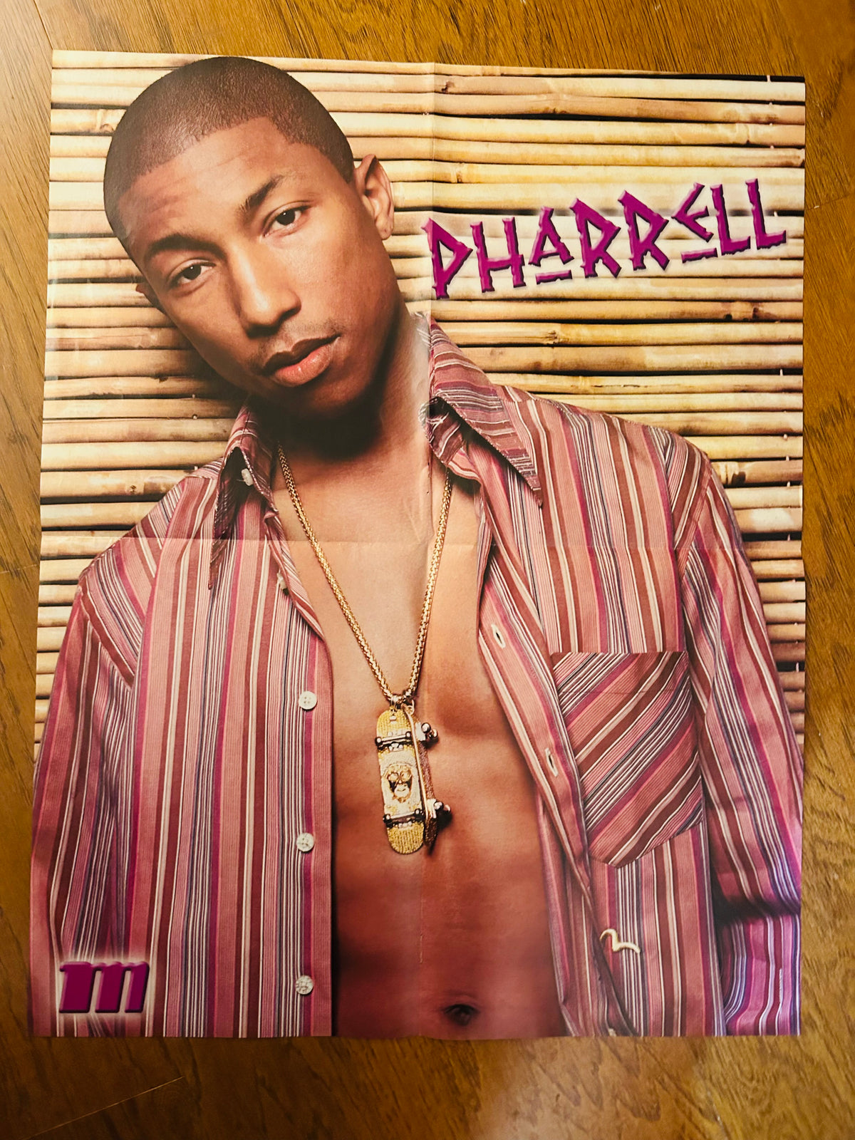 Pharrell poster side with striped shirt and bamboo background
