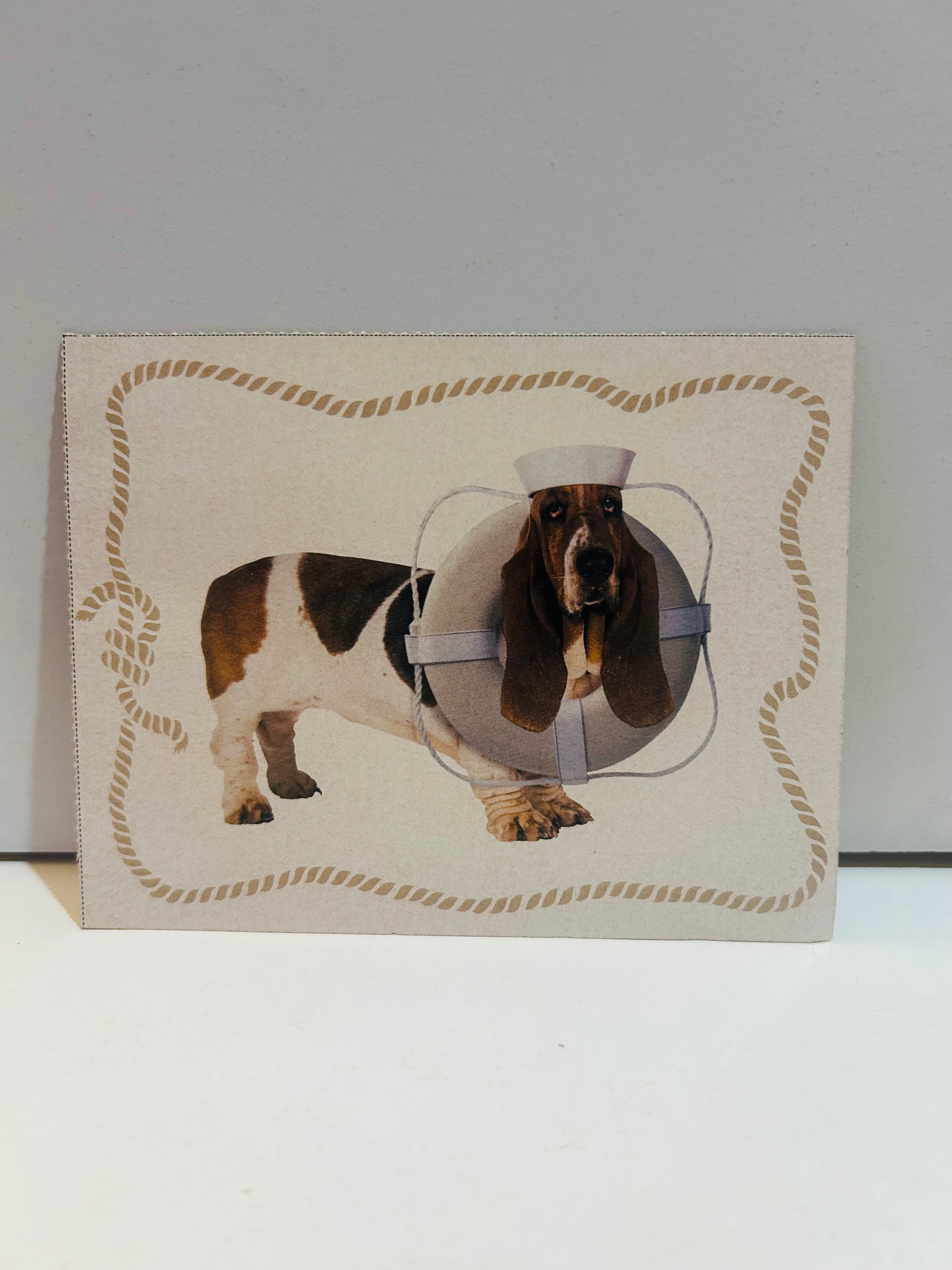Mary-Kate & Ashley 4x5 Photo Cards