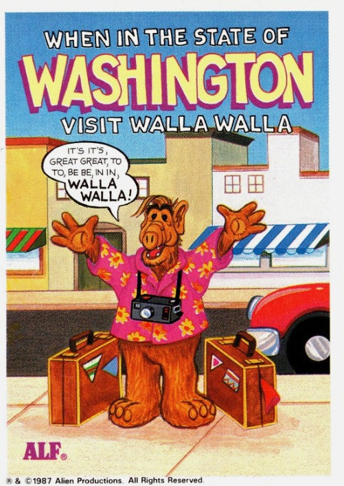U.S. of ALF Super Sticker — Washington (1987, Zoot)