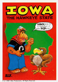 U.S. of ALF Iowa sticker featuring ALF dressed as Popeye the Sailor with anchor tattoo and pipe standing next to a grumpy hawk
