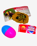 Rusty Patched Bumble Bee Animals with Superpowers Figure 🐝 Yowie Super Powers