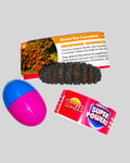 Yowie Brown Sea Cucumber dark textured figurine with surprise egg and fact card