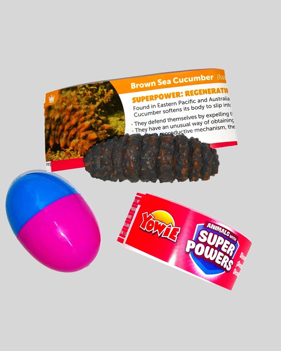 Yowie Brown Sea Cucumber dark textured figurine with surprise egg and fact card