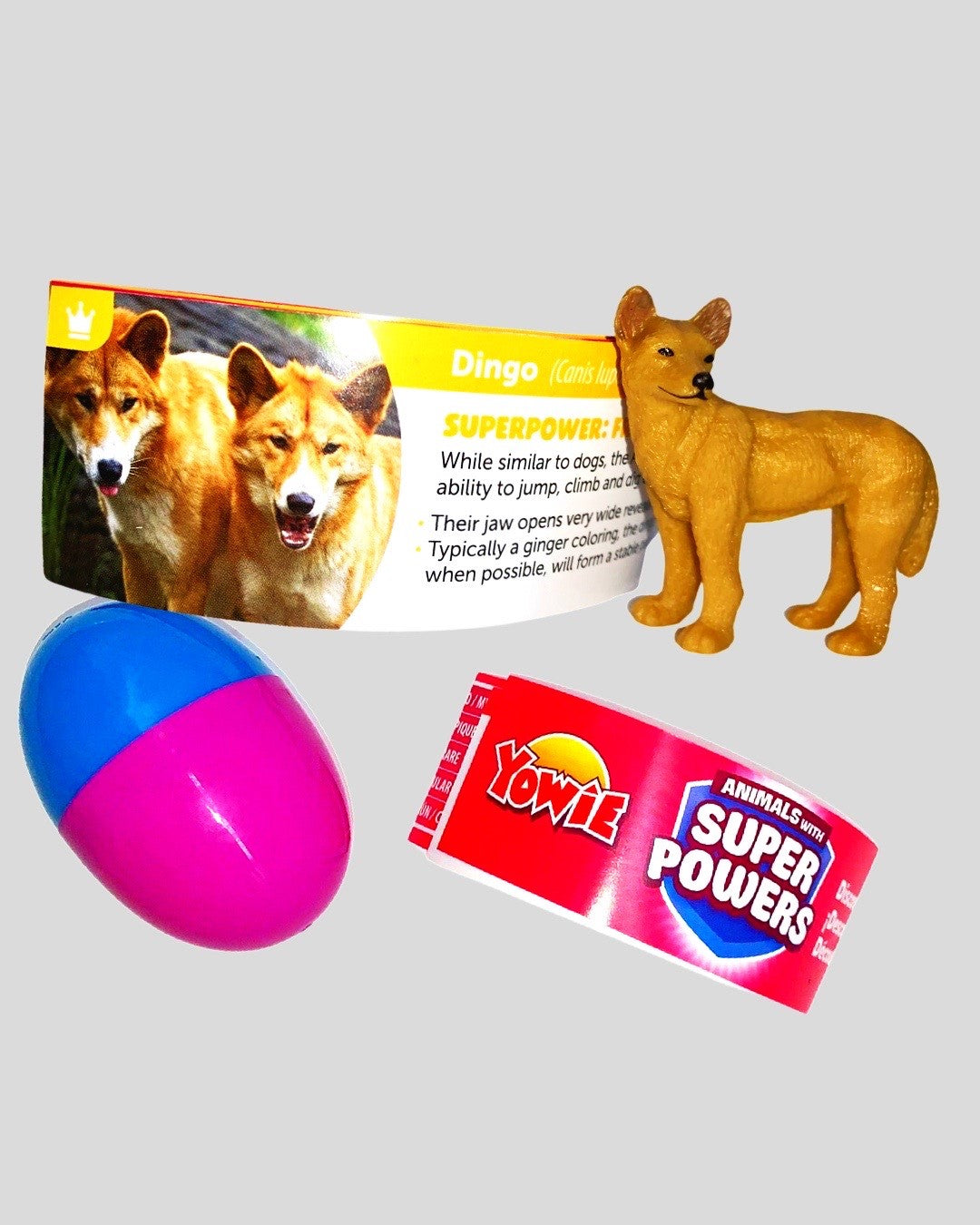 Yowie Dingo ginger tan figurine with surprise egg and info flyer