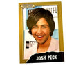 Josh Peck Gold Trading Card #40