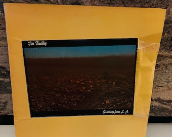 Tim Buckley 1974 Greetings from L.A. Vinyl LP Album