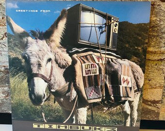 Timbuk3 1986 LP Vinyl Greetings from Timbuk3 Album