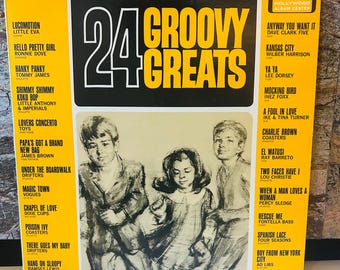 24 Groovy Greats 1965 LP Vinyl Album