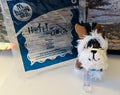 Hotel For Dogs Romeo Plush Happy Meal Toy