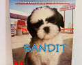 Bandit Book #24 The Puppy Place Paperback by Ellen Miles