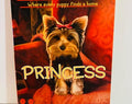 Princess Book The Puppy Place Paperback by Ellen Miles