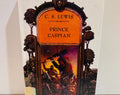 Prince Caspian Book Chronicles of Narnia Hardcover (1994) Ex-Library