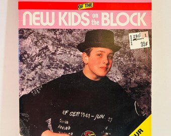 Joe McIntyre New Kids on the Block Handbook (1990 Paperback)