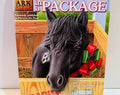 Pony in a Package Book #27 Animal Ark Pets Paperback 2001 by Ben M. Baglio