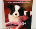 Flash Book #6 The Puppy Place 2006 Paperback by Ellen Miles