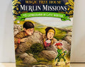 Magic Tree House Book Paperback #43 by Mary Pope Osborne, Leprechaun in Late Winter