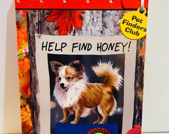 Help Find Honey Book by Ben M Baglio (2006 Paperback)