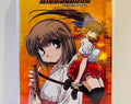 Samurai Girl DVD Translator's Notes (2002)