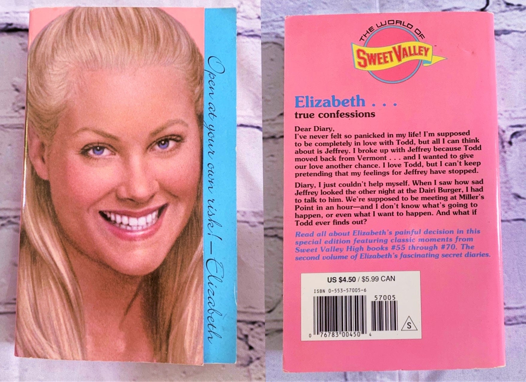 Sweet Valley High Diaries - Choose a Title
