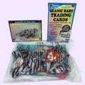Ty Blizzard the White Tiger Beanie Baby 2000 with Trading Card & Sealed Pack