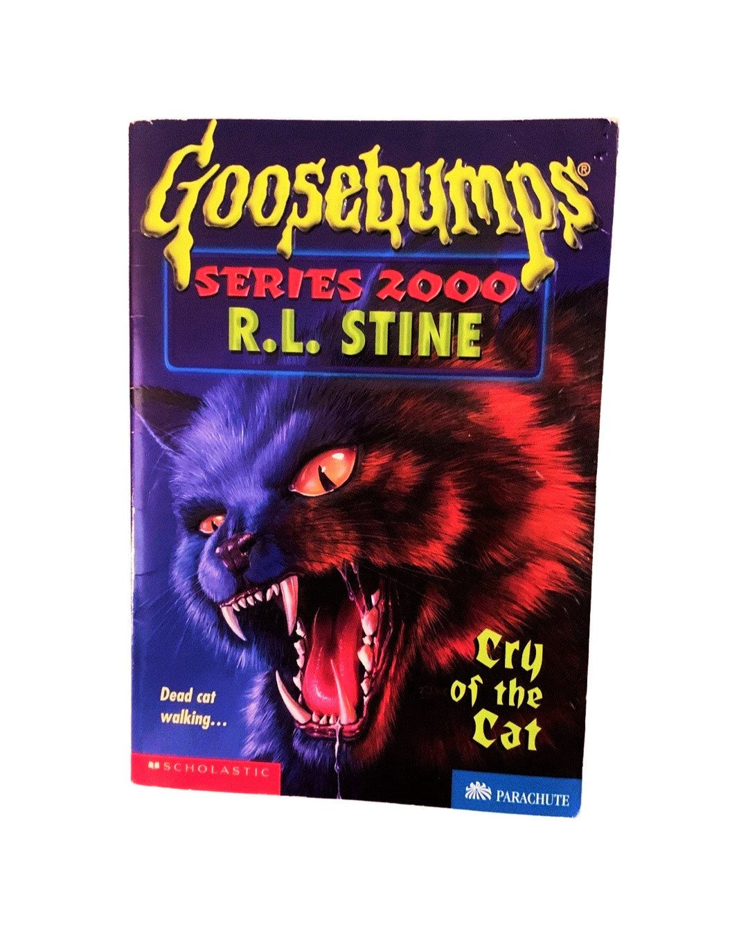SERIES 2000 GOOSEBUMPS Paperbacks You Choose the Scare! R.L Stine's Retro Books, Kids Horror, Throwback, 90s