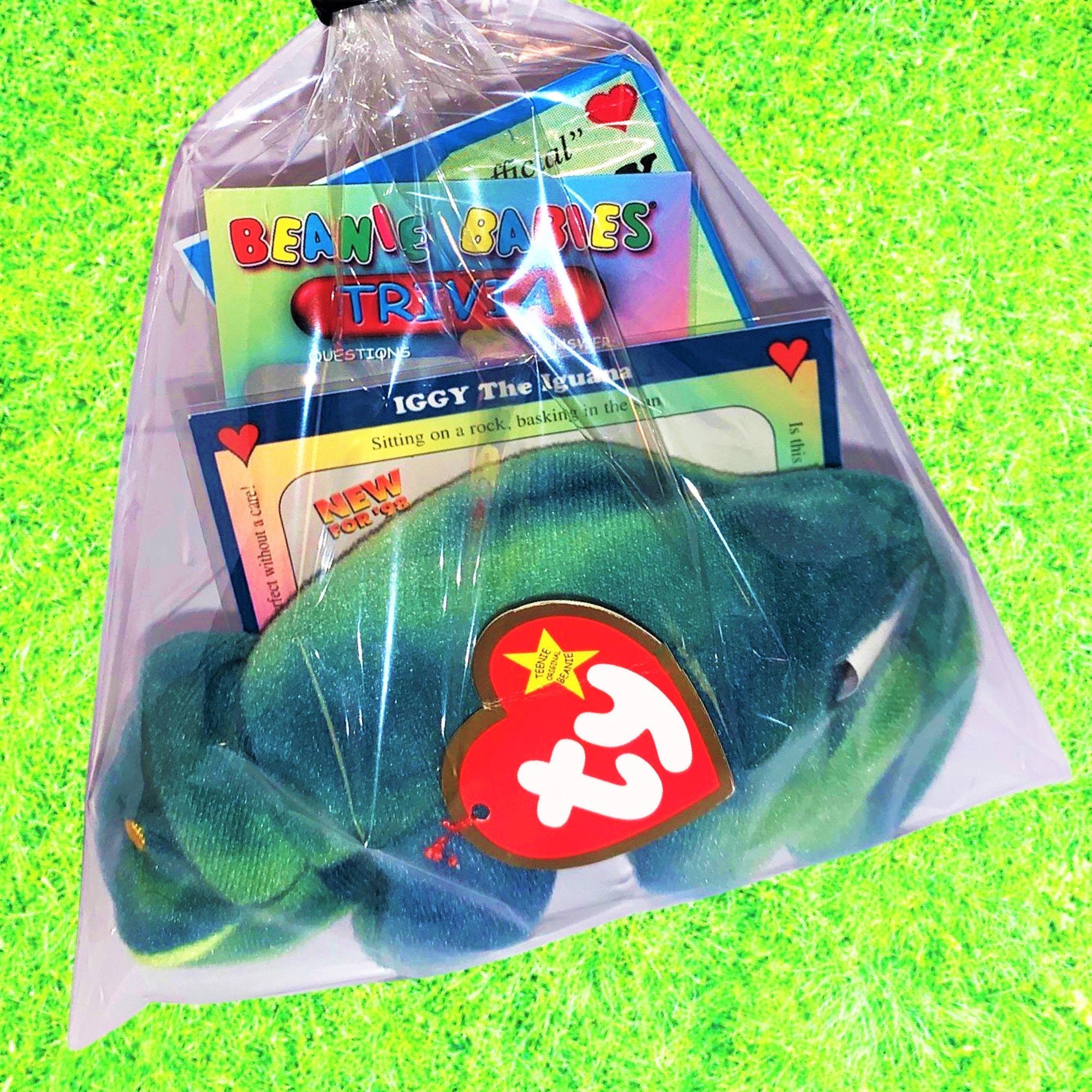 Teenie Beanie Baby Mystery Treasure Bag, 90s nostalgia, trading card,