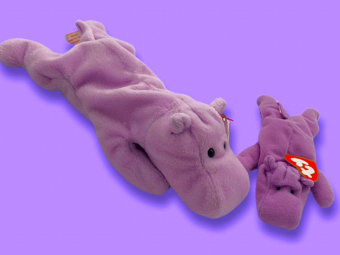 Happy the Hippo Collection Create your Own Beanie Babies Gift Set