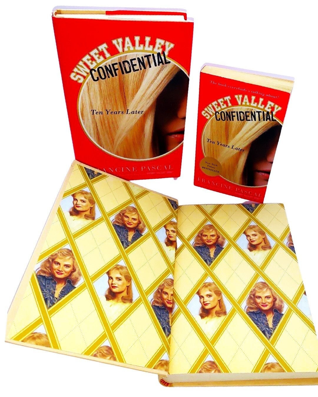 Sweet Valley High Confidential Book (Ten Years Later)