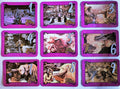 Dark Crystal 1982 Single Trading Cards - Choose ONE