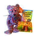 USA Bear Beanie Baby (2000 Edition) with Sealed Trading Card Pack