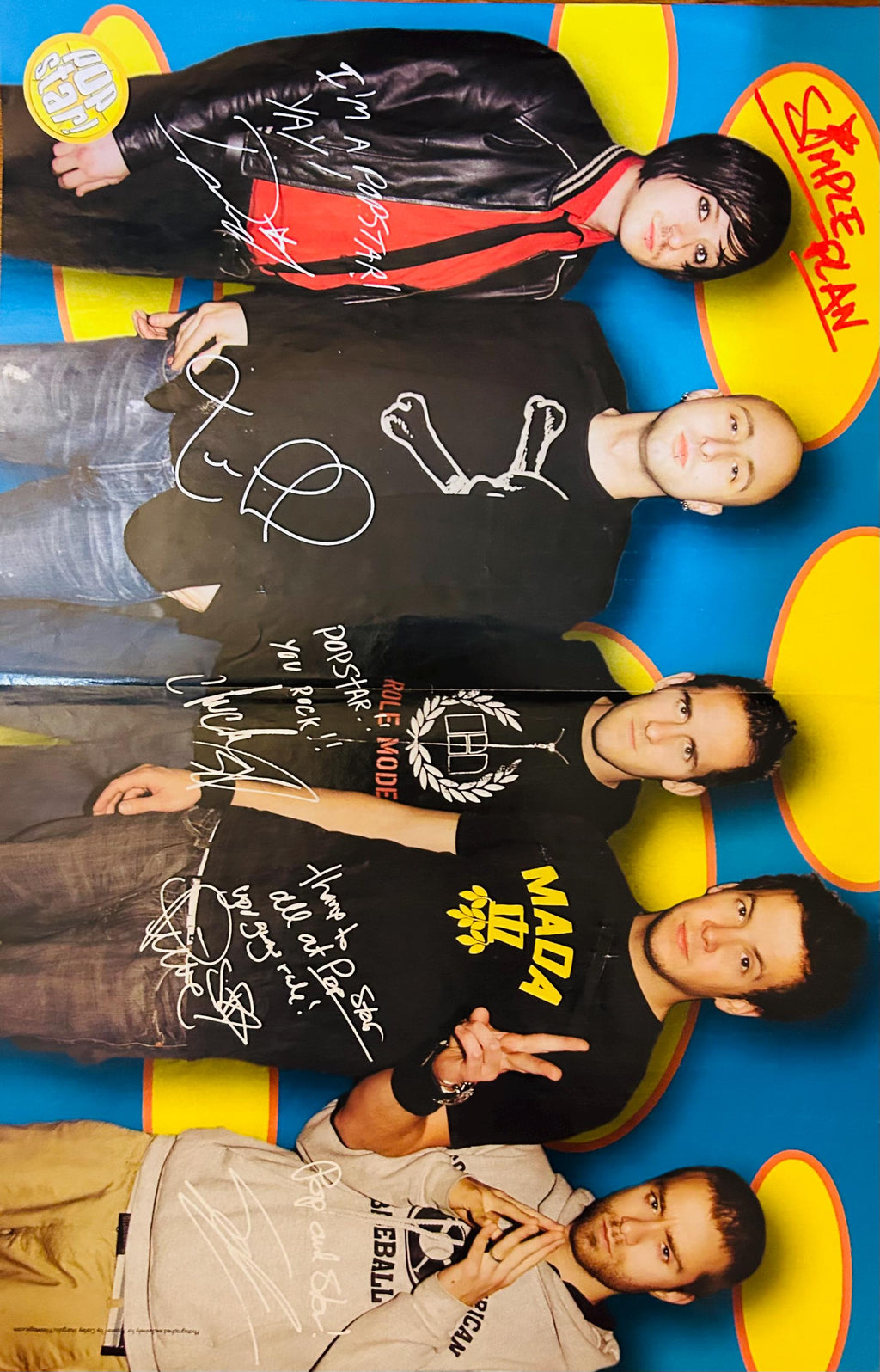 Jesse McCartney and Simple Plan Poster 10x16 (2005)