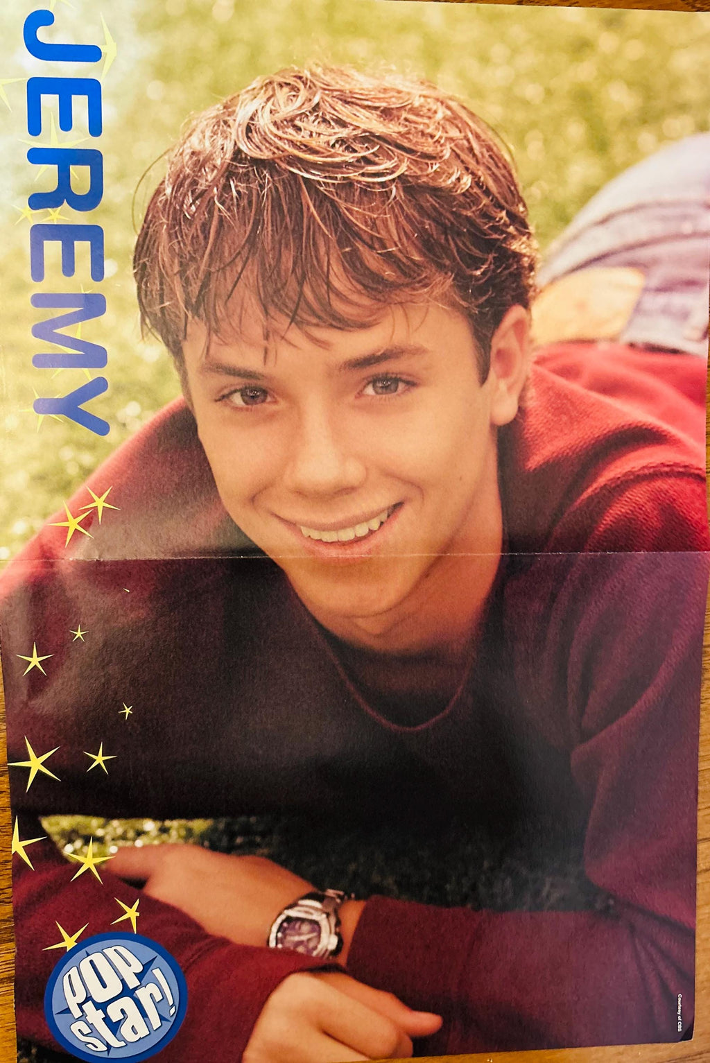 Simple Plan and Jeremy Sumpter Poster 10x16 (2005)