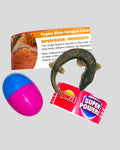 Yowie Pygmy Blue-tongue Lizard figurine with egg and fact card