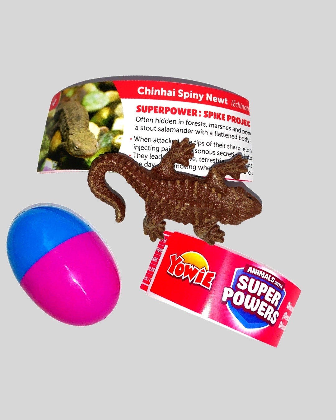 Chinhai Spiny Newt Animals with Superpowers 2" Collectible Toy Figure 🦎 Yowie